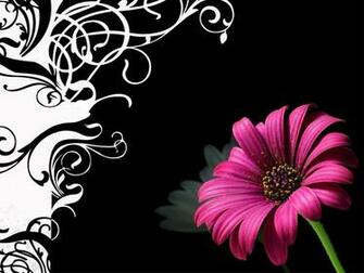 Related Pictures 3d Graffiti Wallpaper Car