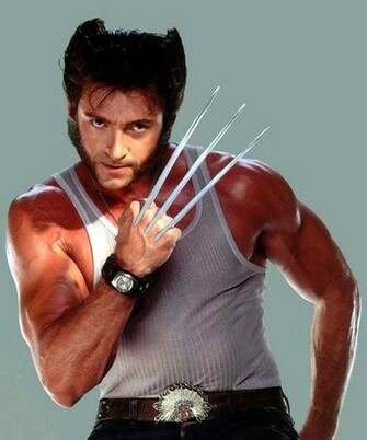Wolverine Movie Film Hugh Jackman Tao