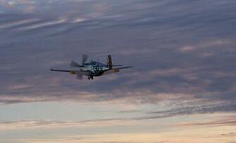 P51 Mustang HD Wallpaper Cars Trucks