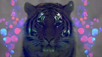 Neon Tiger Wallpaper