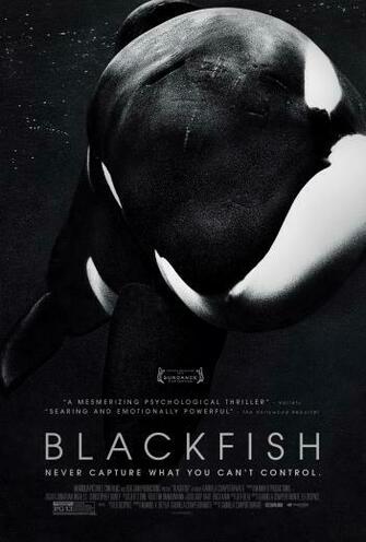 Gabriela Cowperthwaite Talks Blackfish Blackfilm Read