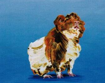 Hamster Wallpaper High Quality And Resolution