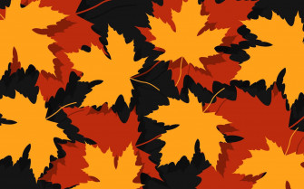 Beautiful Autumn Colours Wallpaper
