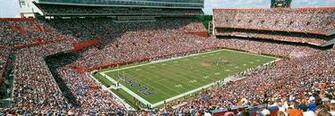 University Of Florida Background