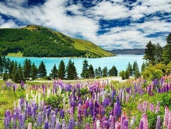 Desktop Fun Dreams Of Spring Wallpaper Collection