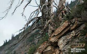 Wallpaper Get Serious Hoyt Charger Campfire Bowhunting