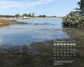 November Coastal Observer For Nor Easters Delaware Sea Grant