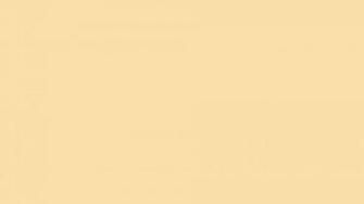 Peach Yellow Solid Color Background