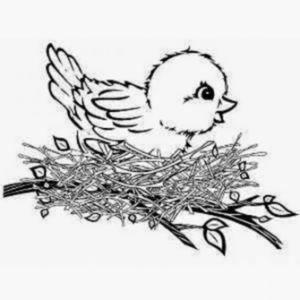 Beauyiful Sweet Little Tweety Bird Colour Drawing HD Wallpaper
