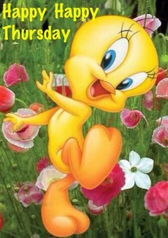 Happy Thursday Good Morning