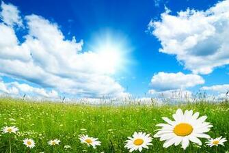 Spring Screensavers And Wallpaper Springtime HD