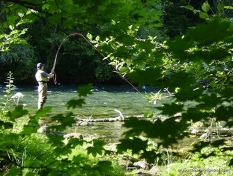 Fly Fishing Mckenzie River Oregon Desktop Wallpaper