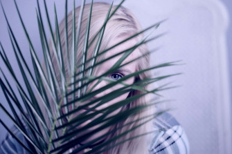 Timid Peek Behind Leaves Wallpaper