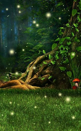 Fireflies Live Wallpaper Android Apps On Google Play