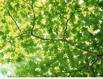 Awesome Spring Wallpaper Photos