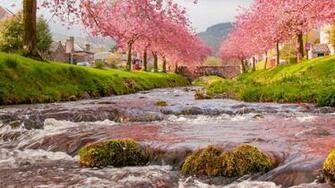 HD Wallpaper Image Photos 1080p