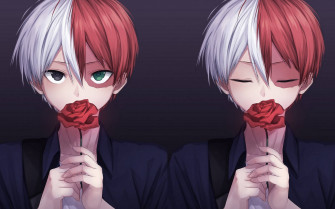 Top Cute Todoroki Wallpaper Full HD 4k To Use