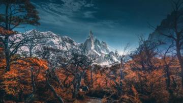 Wallpaper 4k Snowy Mountains Trees Landscape