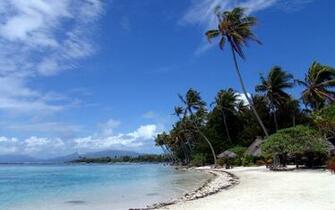 Luxury 3d Wallpaper Widescreen High Resolution Beach