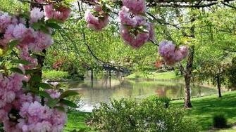 Spring Garden Wallpaper HD