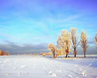 Snowy Winter Landscape Desktop Pc And Mac Wallpaper