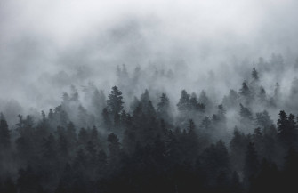Volatile Picture Wallpaper