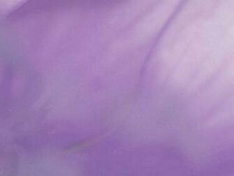 Bright Purple Wallpaper