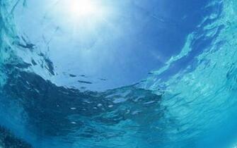 Under The Ocean Wallpaper