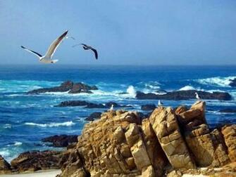 Pebble Beach California Wallpaper