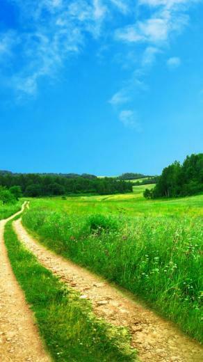 Summer Meadow Road iPhone Wallpaper