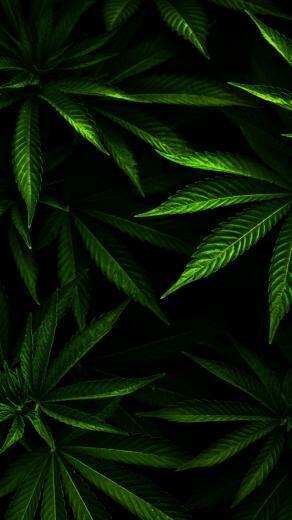 Weedsamsung Wallpaper Samsung