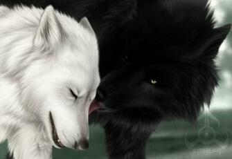 Wolf Puppies HD Wallpaper In For Your