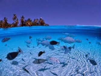 Beautiful Beach Picture Scenery Wallpaper