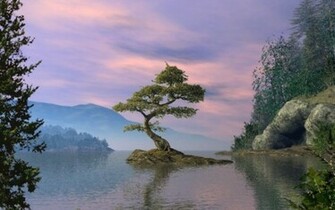 Hq Scenic Tree0 Wallpaper