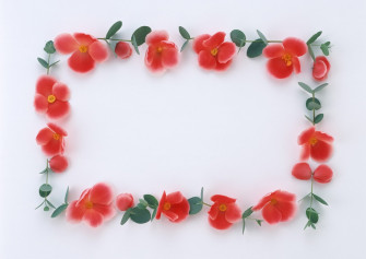 Beautiful Stylish Flowers Photo Frames Wallpaper