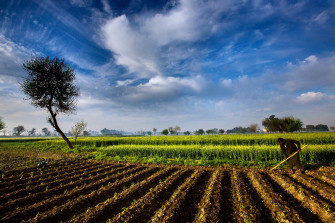 Farm HD Wallpaper High Resolution