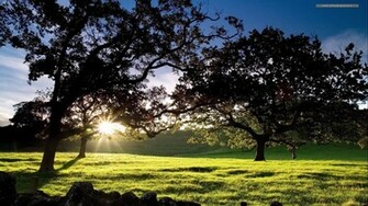 HD Wallpaper 1080p Best Pics