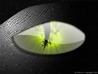 Anaconda Wallpaper Pictures