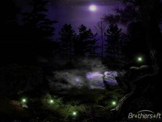 Dark Forest Screensaver