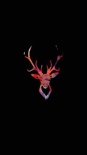 Avi Patel On Wallpaper In Deer