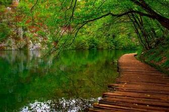 Rivers Parks Trees Nature Wallpaper