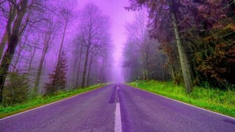HD Wallpaper Desktop Purple Tree