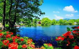 Beautiful Nature Scenery Wallpaper