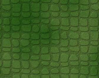 HD Wallpaper Snapping Turtle X Kb Jpeg
