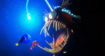 Wallpaper Nemo HD Deloiz