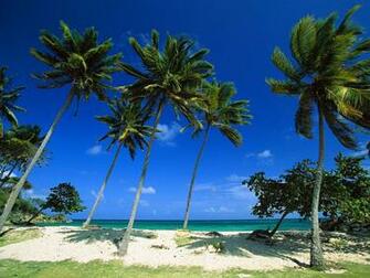 Beach Bacardi Cayo Levantado Dominican Republic