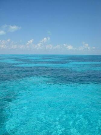 Ocean Wallpaper Backto