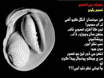 Sindhi Poetry Wallpaper