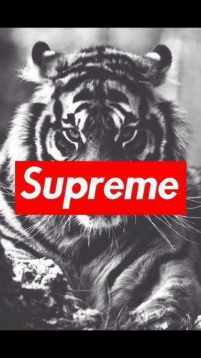 Supreme Wallpaper On