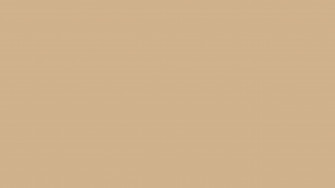 Tan Background Wallpaper